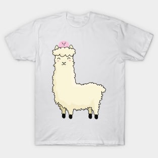 Mochi riding a llama v1 T-Shirt